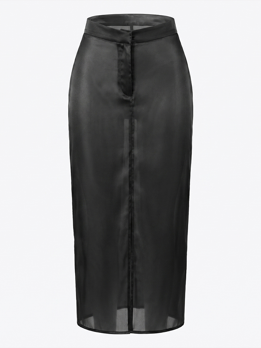 Semi Sheer Organza Maxi Skirt view 2