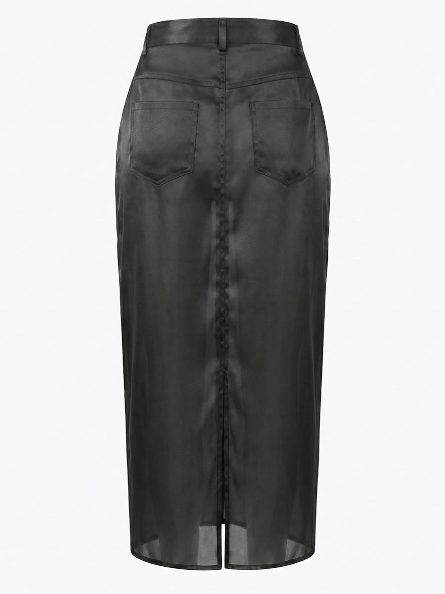 Semi Sheer Organza Maxi Skirt view 3